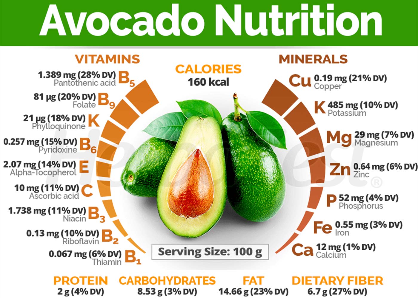 Avocados 101: Nutrition Facts, Health Benefits, and More